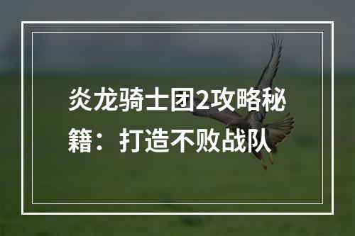 炎龙骑士团2攻略秘籍：打造不败战队