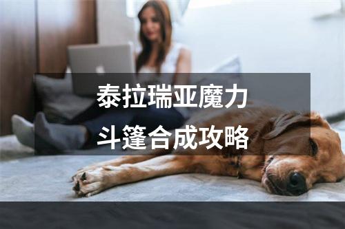 泰拉瑞亚魔力斗篷合成攻略