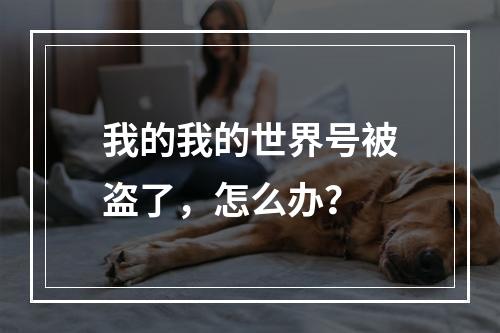 我的我的世界号被盗了，怎么办？