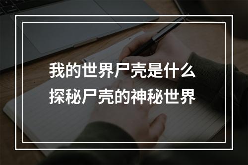 我的世界尸壳是什么 探秘尸壳的神秘世界