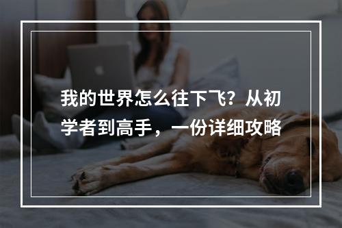 我的世界怎么往下飞？从初学者到高手，一份详细攻略