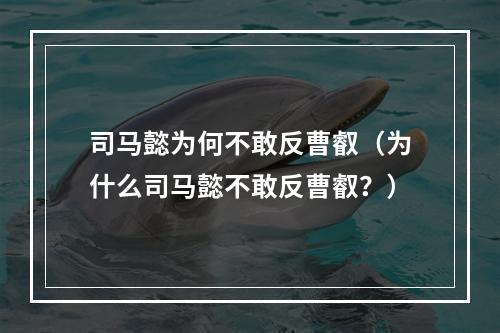 司马懿为何不敢反曹叡（为什么司马懿不敢反曹叡？）