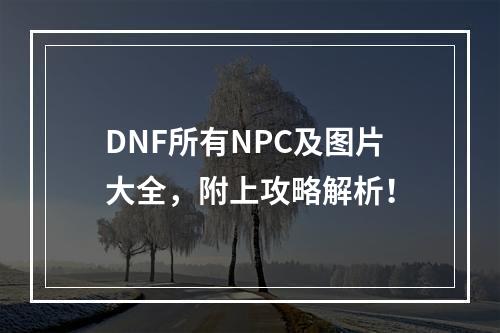 DNF所有NPC及图片大全，附上攻略解析！