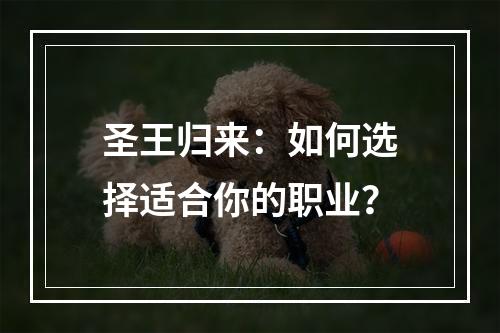 圣王归来：如何选择适合你的职业？