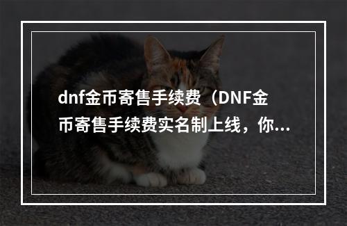 dnf金币寄售手续费（DNF金币寄售手续费实名制上线，你知道该注意哪些细节吗？）