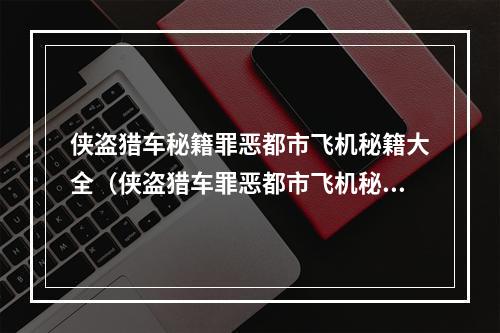 侠盗猎车秘籍罪恶都市飞机秘籍大全（侠盗猎车罪恶都市飞机秘籍大全）