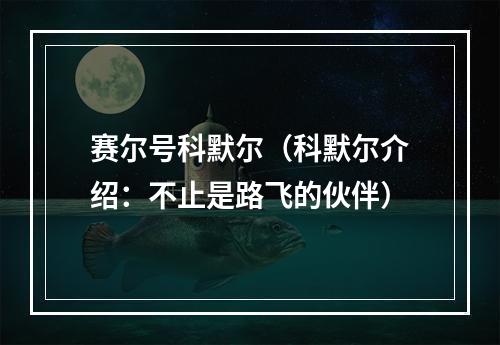 赛尔号科默尔（科默尔介绍：不止是路飞的伙伴）