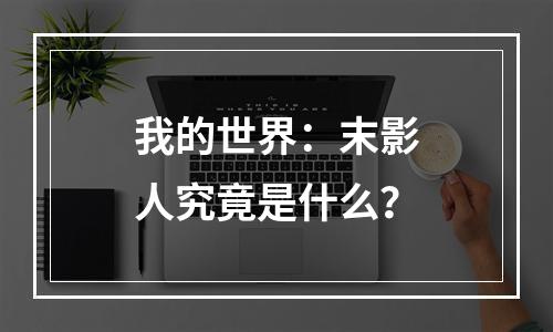 我的世界：末影人究竟是什么？