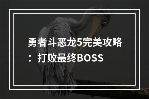 勇者斗恶龙5完美攻略：打败最终BOSS