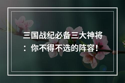 三国战纪必备三大神将：你不得不选的阵容！