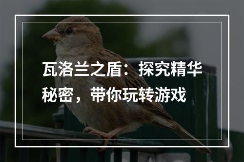 瓦洛兰之盾：探究精华秘密，带你玩转游戏