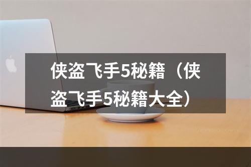 侠盗飞手5秘籍（侠盗飞手5秘籍大全）