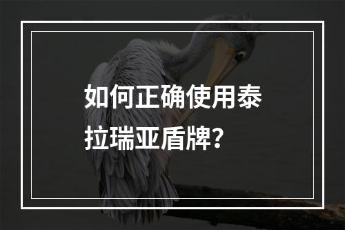 如何正确使用泰拉瑞亚盾牌？