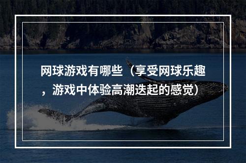 网球游戏有哪些（享受网球乐趣，游戏中体验高潮迭起的感觉）