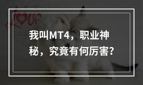 我叫MT4，职业神秘，究竟有何厉害？