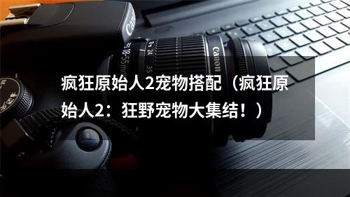 疯狂原始人2宠物搭配（疯狂原始人2：狂野宠物大集结！）