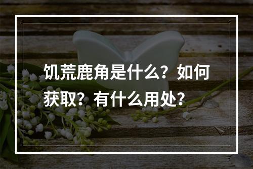 饥荒鹿角是什么？如何获取？有什么用处？