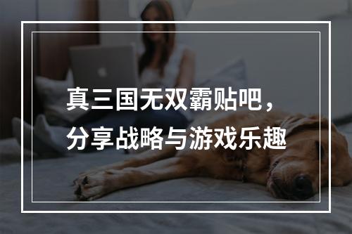 真三国无双霸贴吧，分享战略与游戏乐趣