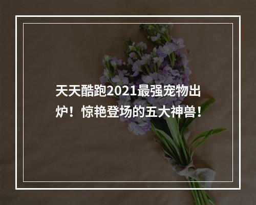 天天酷跑2021最强宠物出炉！惊艳登场的五大神兽！