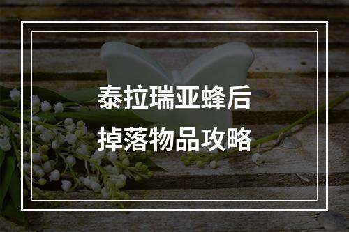 泰拉瑞亚蜂后掉落物品攻略