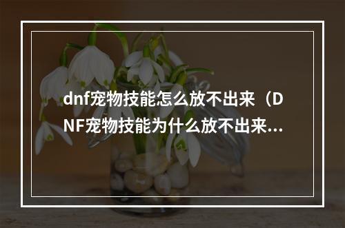 dnf宠物技能怎么放不出来（DNF宠物技能为什么放不出来？教你解决这个问题！）