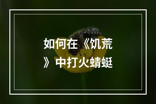 如何在《饥荒》中打火蜻蜓