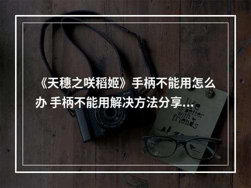 《天穗之咲稻姬》手柄不能用怎么办 手柄不能用解决方法分享--安卓攻略网