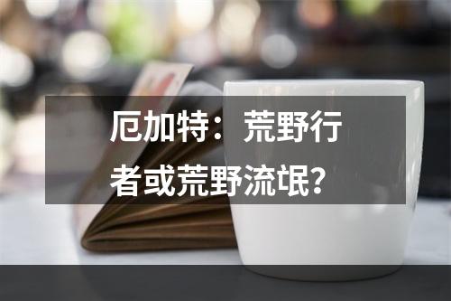 厄加特：荒野行者或荒野流氓？