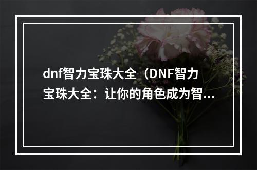 dnf智力宝珠大全（DNF智力宝珠大全：让你的角色成为智慧之王）