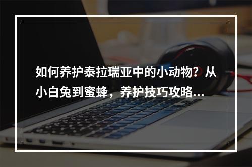 如何养护泰拉瑞亚中的小动物？从小白兔到蜜蜂，养护技巧攻略全解析！