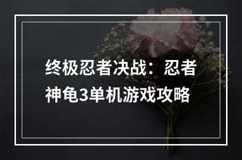 终极忍者决战：忍者神龟3单机游戏攻略