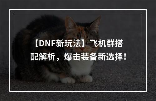 【DNF新玩法】飞机群搭配解析，爆击装备新选择！