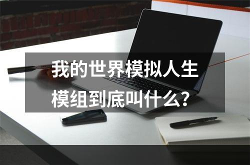 我的世界模拟人生模组到底叫什么？