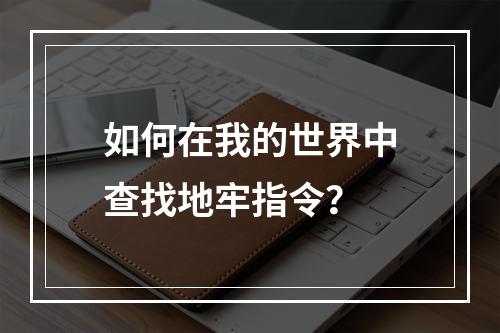 如何在我的世界中查找地牢指令？