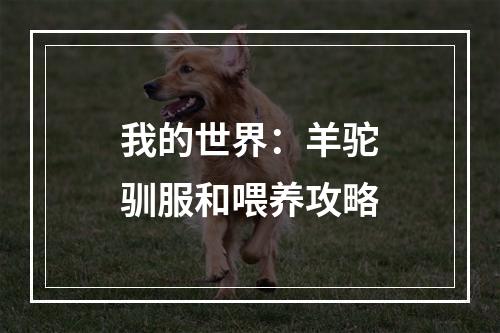 我的世界：羊驼驯服和喂养攻略