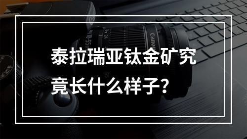 泰拉瑞亚钛金矿究竟长什么样子？