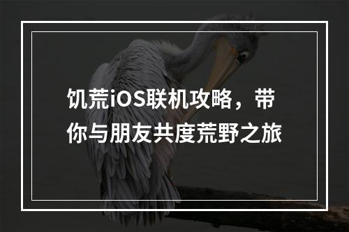 饥荒iOS联机攻略，带你与朋友共度荒野之旅