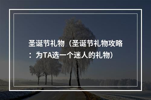 圣诞节礼物（圣诞节礼物攻略：为TA选一个迷人的礼物）