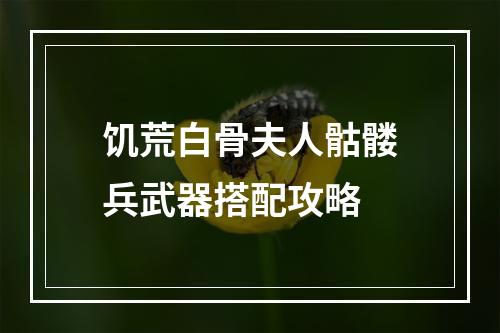 饥荒白骨夫人骷髅兵武器搭配攻略