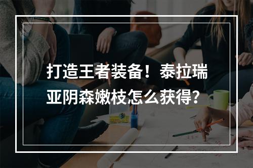 打造王者装备！泰拉瑞亚阴森嫩枝怎么获得？