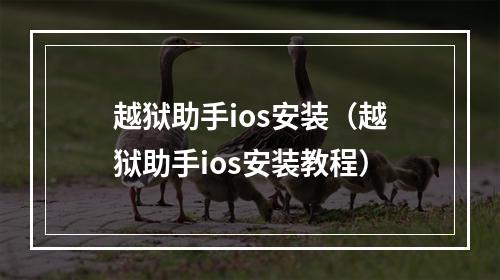 越狱助手ios安装（越狱助手ios安装教程）