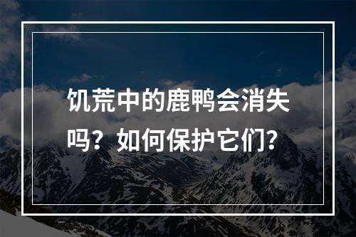 饥荒中的鹿鸭会消失吗？如何保护它们？