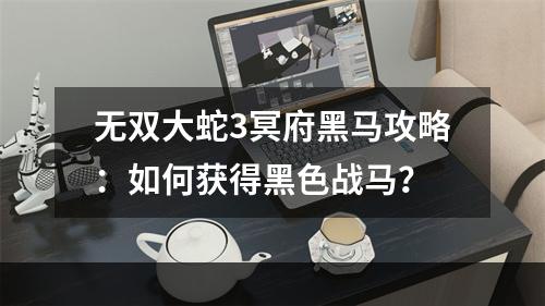 无双大蛇3冥府黑马攻略：如何获得黑色战马？