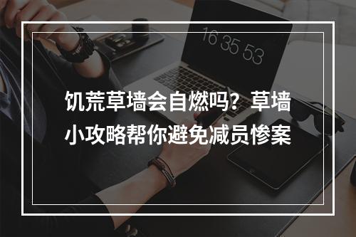 饥荒草墙会自燃吗？草墙小攻略帮你避免减员惨案