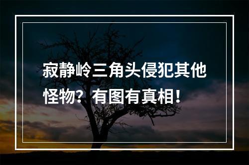 寂静岭三角头侵犯其他怪物？有图有真相！