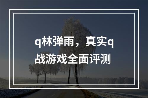 q林弹雨，真实q战游戏全面评测