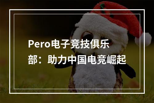 Pero电子竞技俱乐部：助力中国电竞崛起