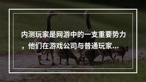 内测玩家是网游中的一支重要势力，他们在游戏公司与普通玩家之间扮演着桥梁的角色。内测玩家的贡献是无可替