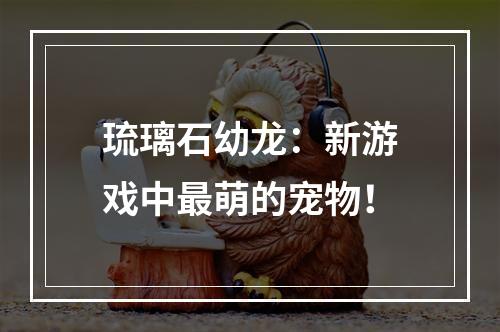 琉璃石幼龙：新游戏中最萌的宠物！