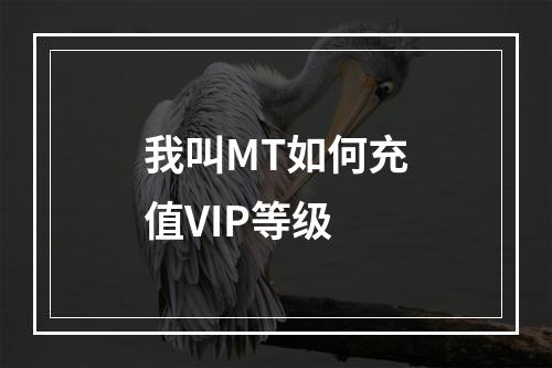 我叫MT如何充值VIP等级